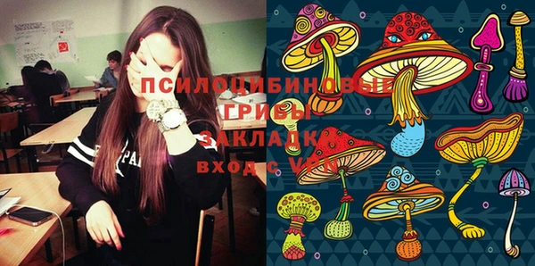 шишки Абинск