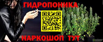 не бодяженный Жуковский