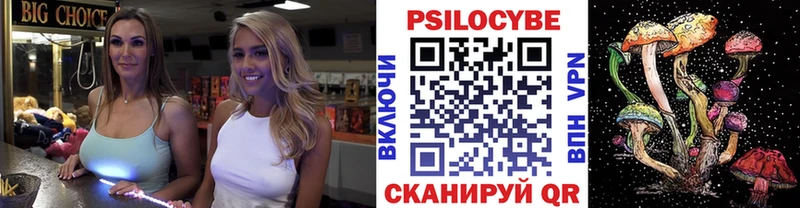 дарк нет формула  Нальчик  Галлюциногенные грибы Psilocybe  купить  