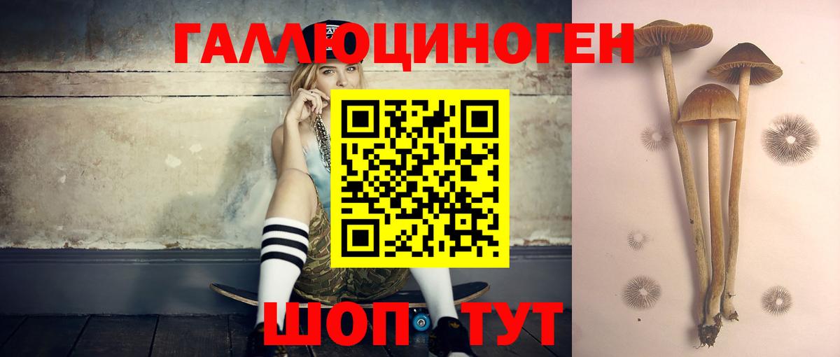 Псилоцибиновые грибы MAGIC MUSHROOMS  Вход с VPN  Нальчик 