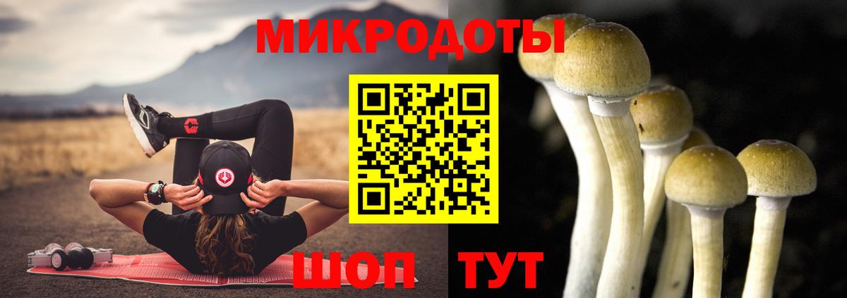 Псилоцибиновые грибы Magic Shrooms Нальчик